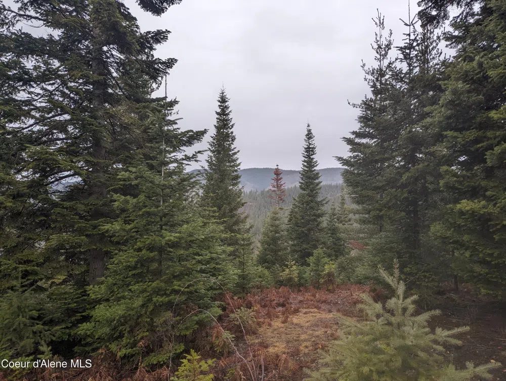 9 Kingston Way Kingston, ID 83839