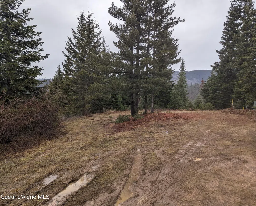 9 Kingston Way Kingston, ID 83839