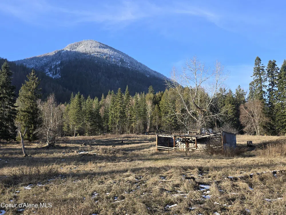 NNA WEST SIDE ROAD PARCEL 1 Bonners Ferry, ID 83805