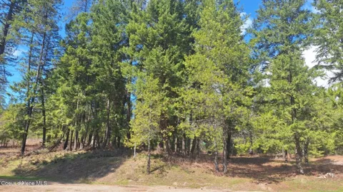 NNA Parkland Drive