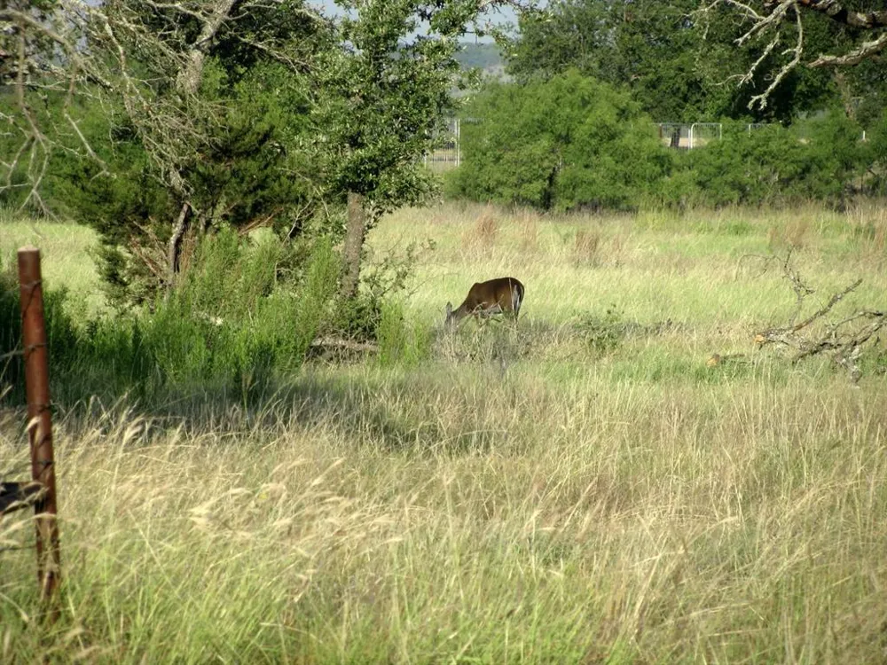 2171 County Road 419 Evant, TX 76525
