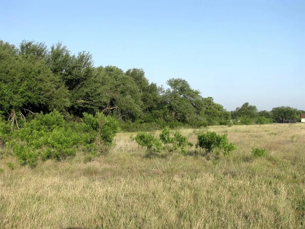2171 County Road 419 Evant, TX 76525