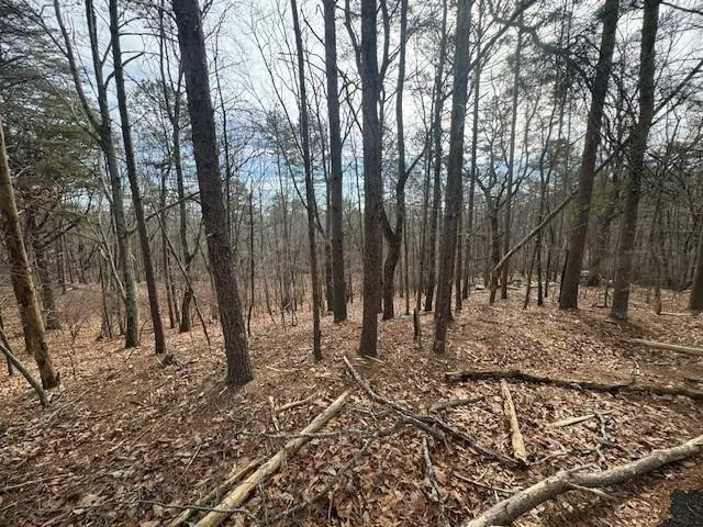 117 Leopard Court Waleska, GA 30183