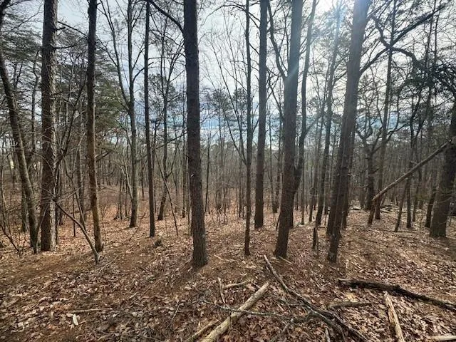 117 Leopard Court Waleska, GA 30183