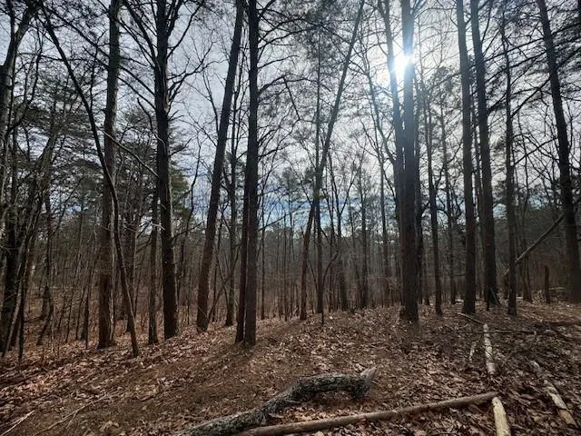 117 Leopard Court Waleska, GA 30183