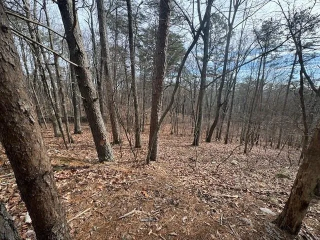 117 Leopard Court Waleska, GA 30183