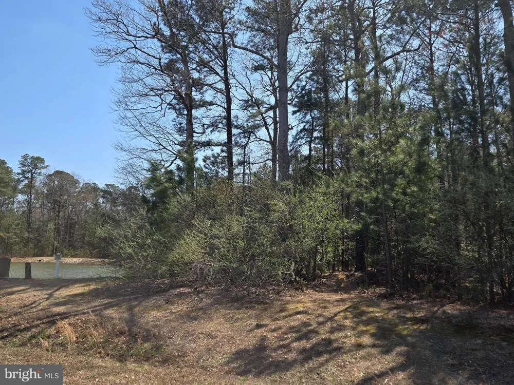 23360 GREENBANK DRIVE Harbeson, DE 19951