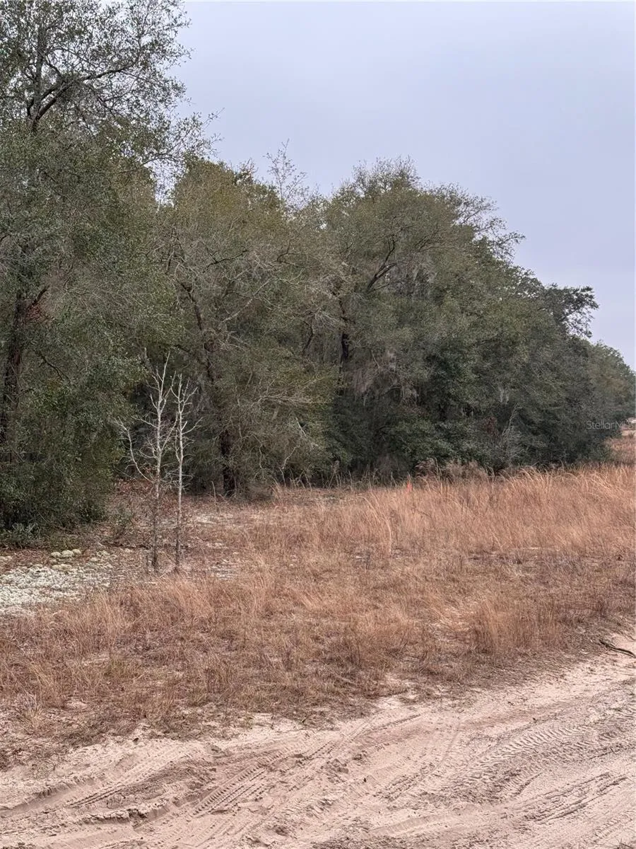 SE 100 STREET ocala, FL 34472