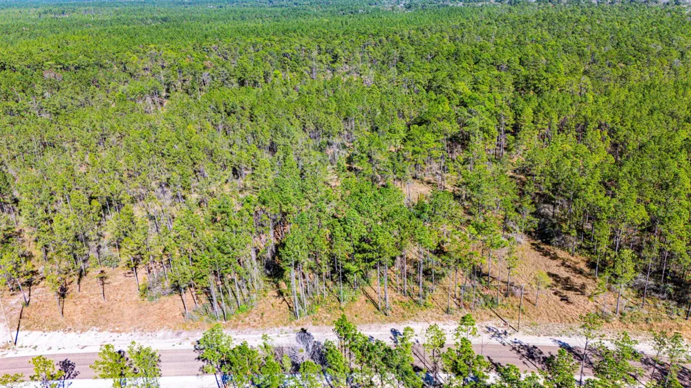 311 Magnolia Ranch Road Road Onalaska, TX 77360