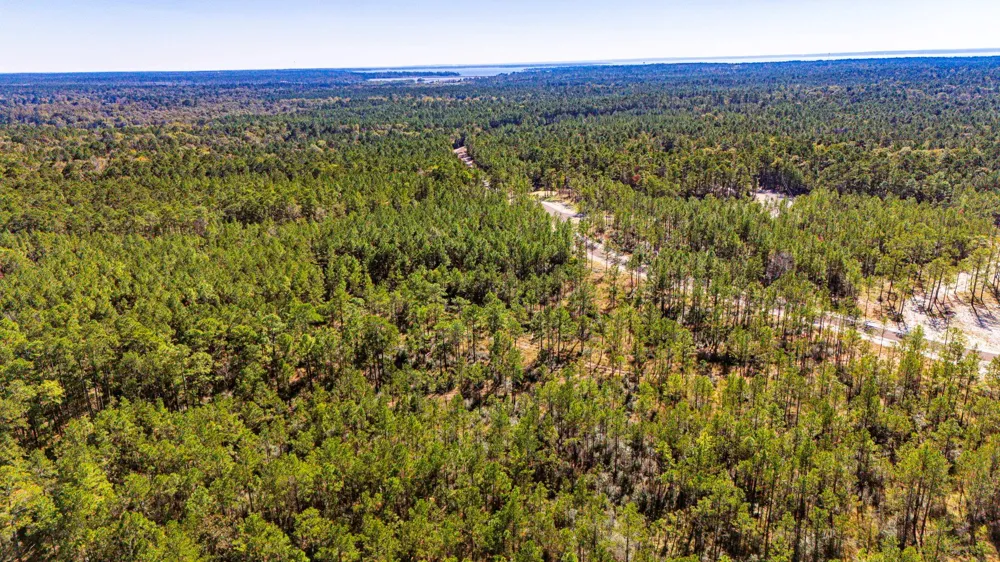 311 Magnolia Ranch Road Road Onalaska, TX 77360