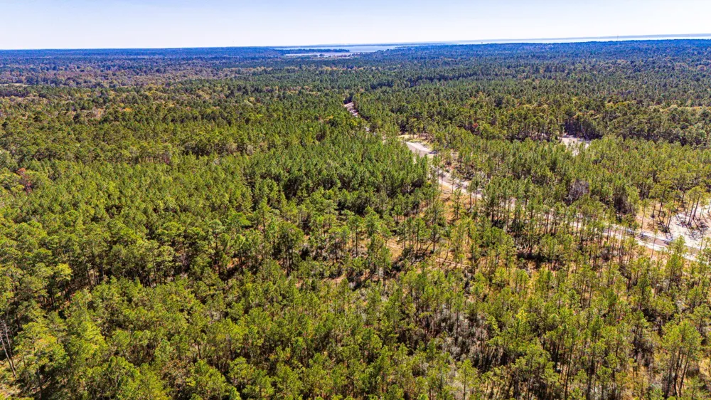 311 Magnolia Ranch Road Road Onalaska, TX 77360