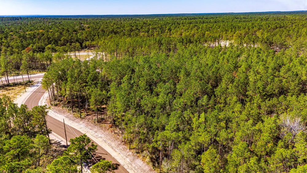 311 Magnolia Ranch Road Road Onalaska, TX 77360