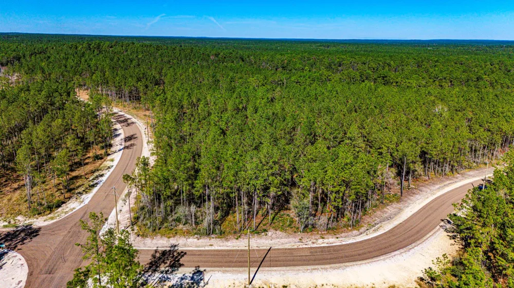 311 Magnolia Ranch Road Road Onalaska, TX 77360