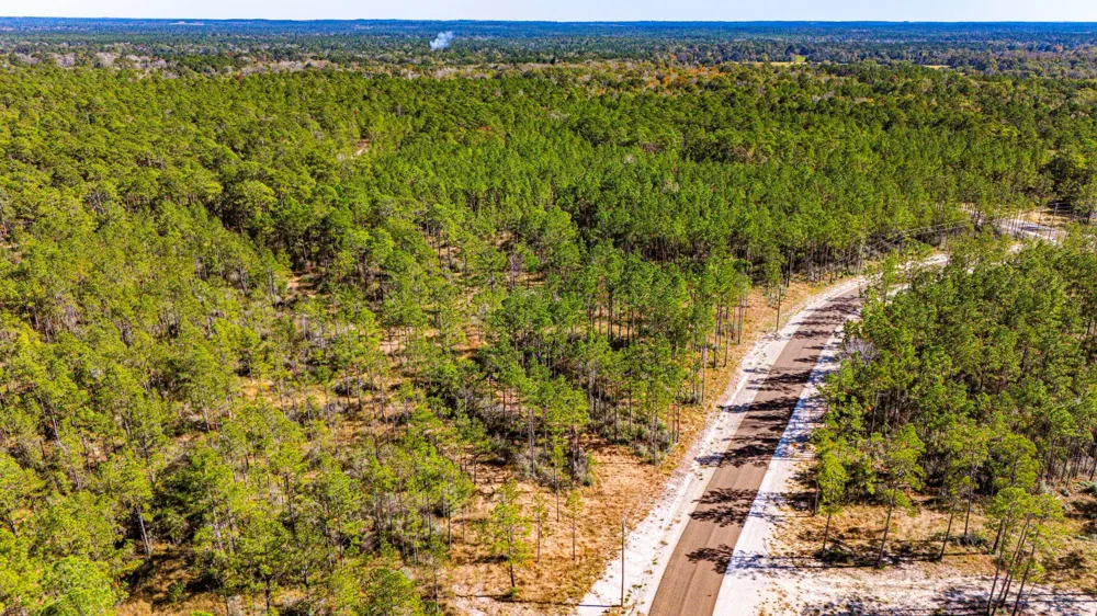 311 Magnolia Ranch Road Road Onalaska, TX 77360