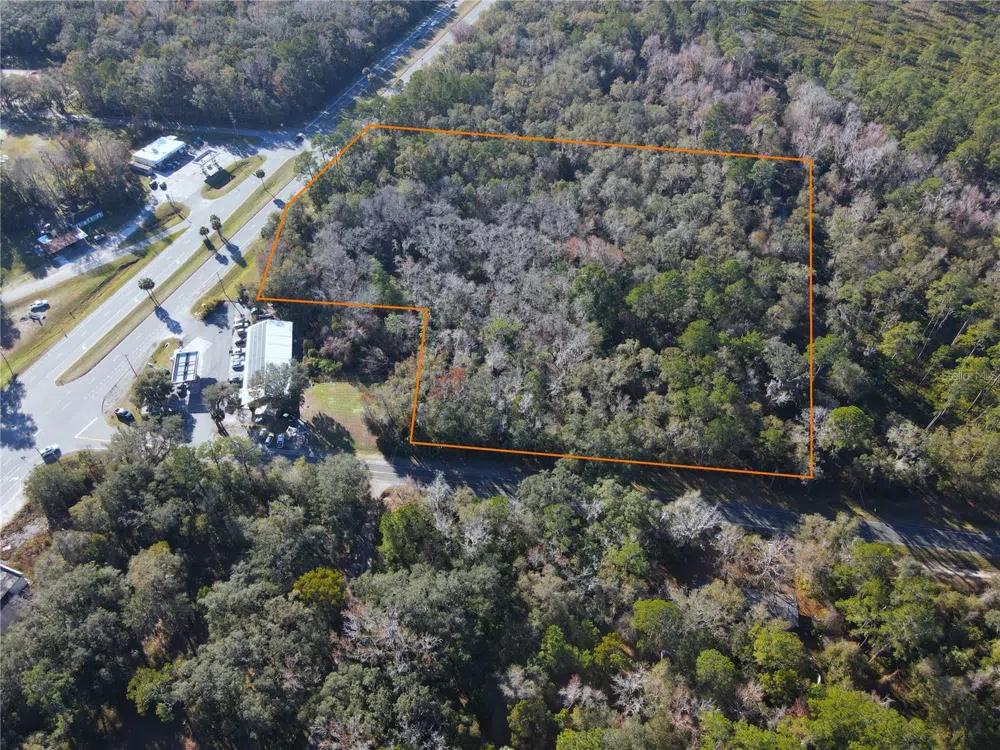 102 NE HIGHWAY 441 Micanopy, FL 32667