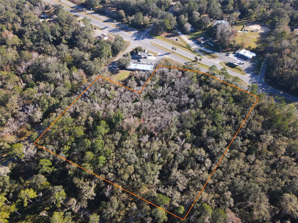 102 NE HIGHWAY 441 Micanopy, FL 32667