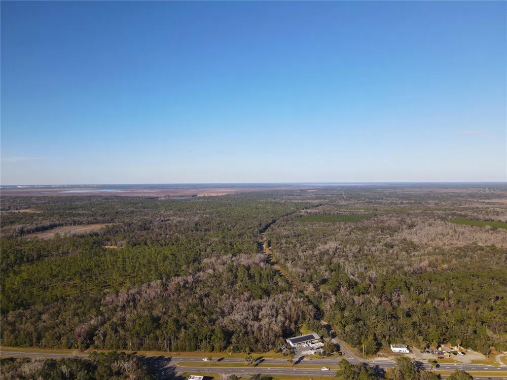 102 NE HIGHWAY 441 Micanopy, FL 32667