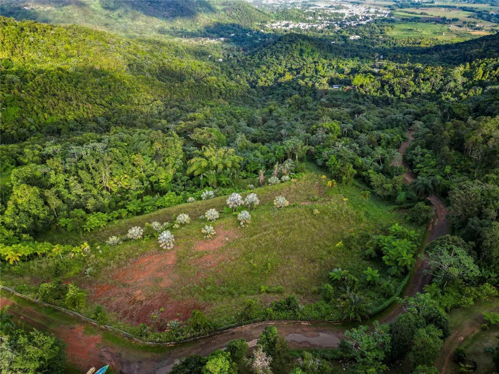 NARANJO WARD INT. PR 984 Fajardo, PR 00738