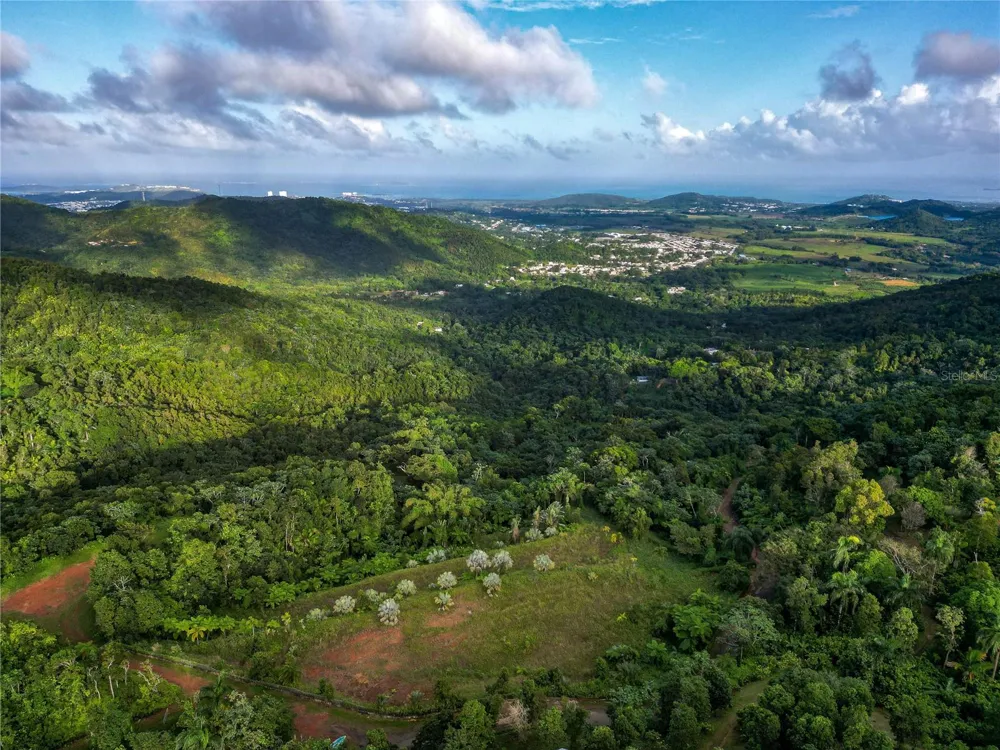 NARANJO WARD INT. PR 984 Fajardo, PR 00738