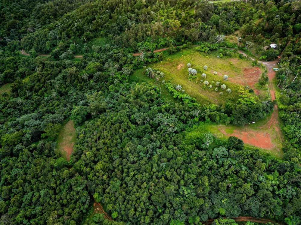 NARANJO WARD INT. PR 984 Fajardo, PR 00738