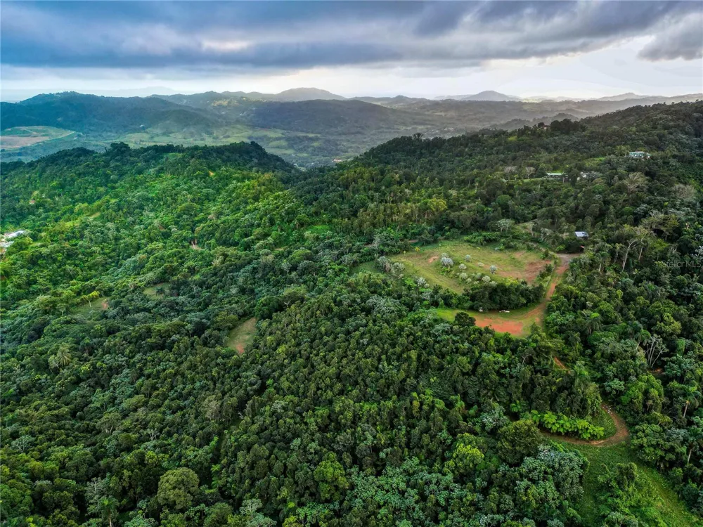 NARANJO WARD INT. PR 984 Fajardo, PR 00738
