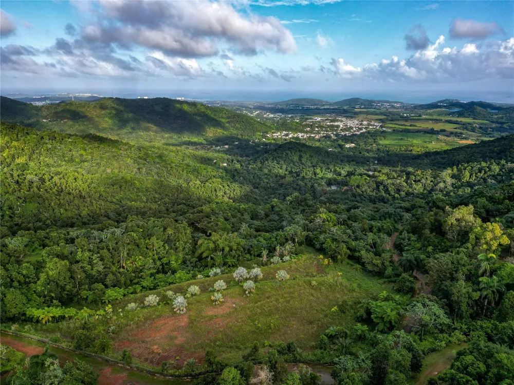 NARANJO WARD INT. PR 984 Fajardo, PR 00738