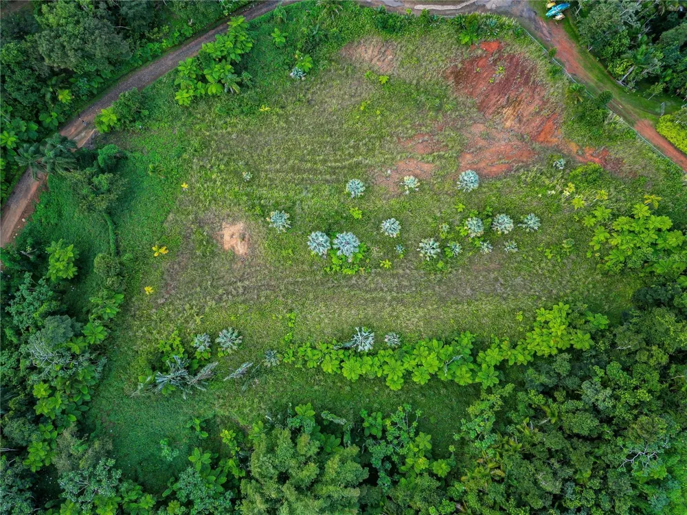 NARANJO WARD INT. PR 984 Fajardo, PR 00738