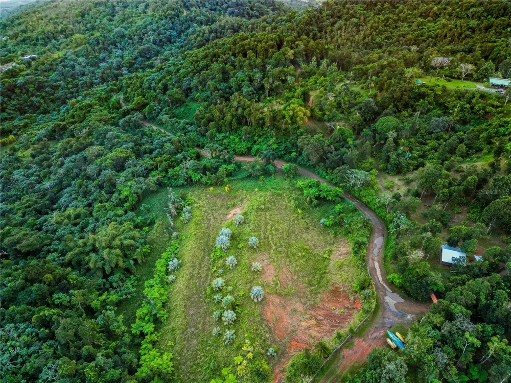 NARANJO WARD INT. PR 984 Fajardo, PR 00738