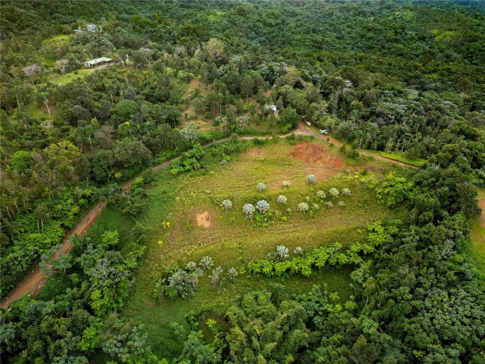 NARANJO WARD INT. PR 984 Fajardo, PR 00738