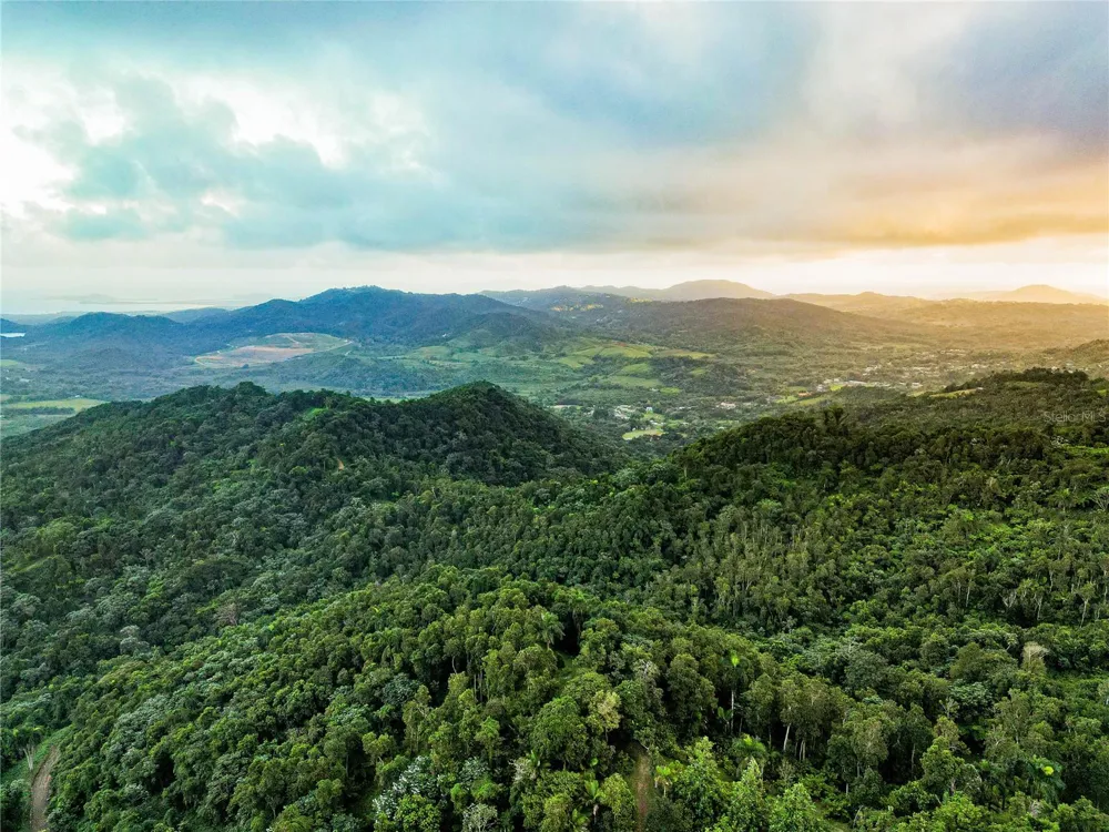NARANJO WARD INT. PR 984 Fajardo, PR 00738