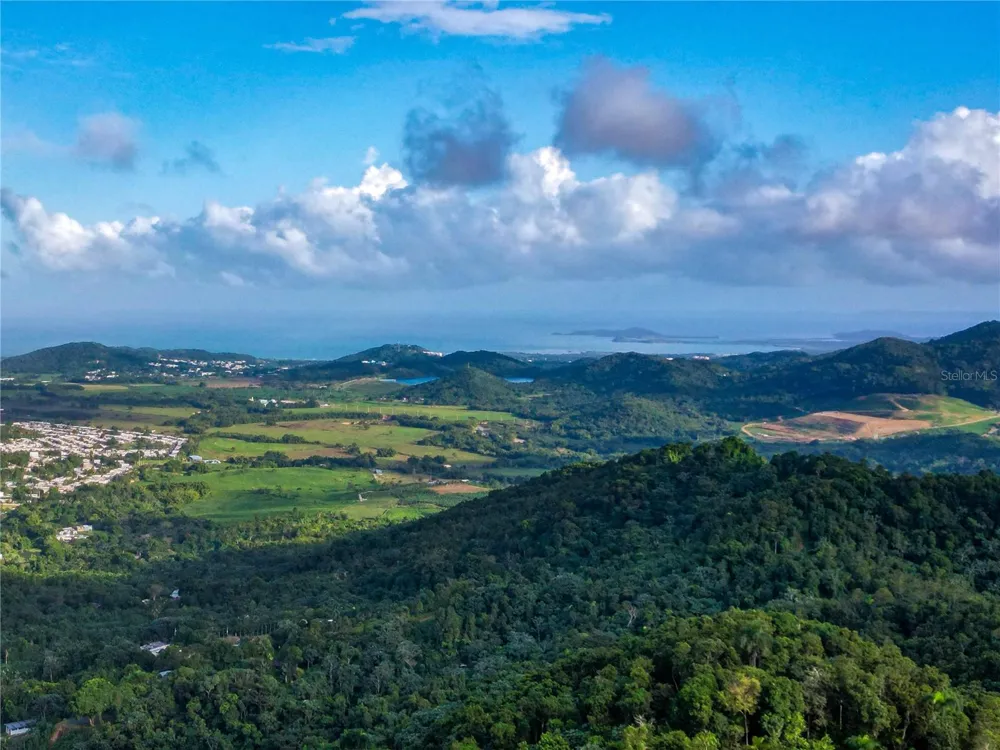 NARANJO WARD INT. PR 984 Fajardo, PR 00738