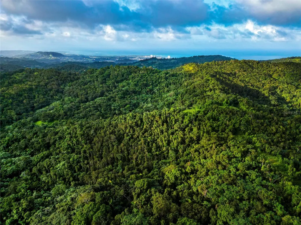 NARANJO WARD INT. PR 984 Fajardo, PR 00738
