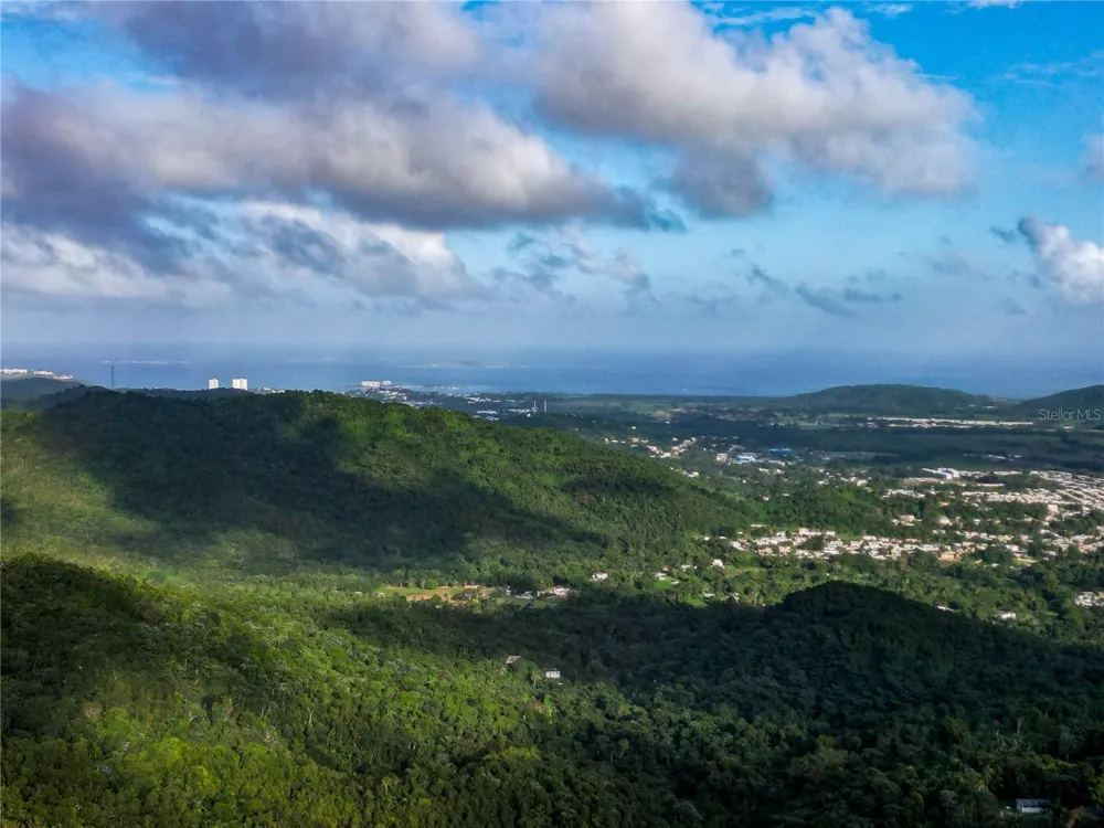 NARANJO WARD INT. PR 984 Fajardo, PR 00738