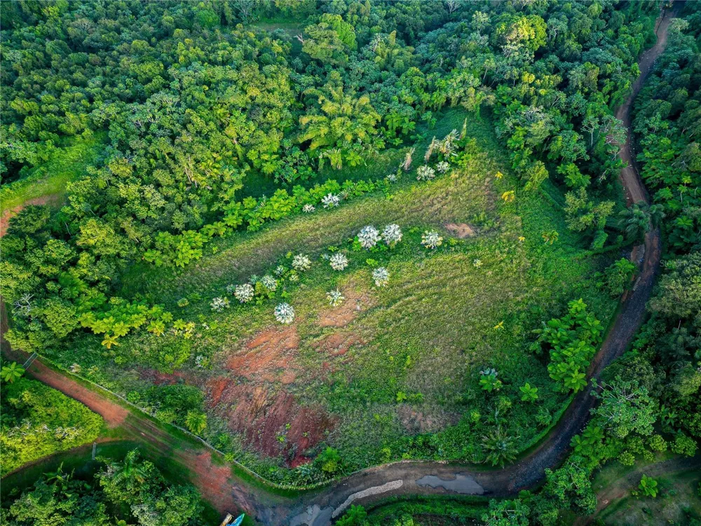 NARANJO WARD INT. PR 984 Fajardo, PR 00738