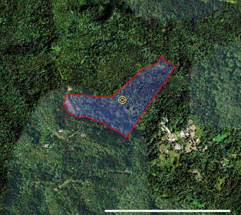 NARANJO WARD INT. PR 984 Fajardo, PR 00738