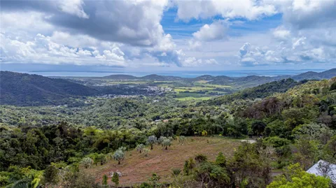 NARANJO WARD INT. PR 984