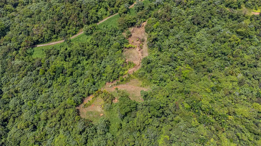 NARANJO WARD INT. PR 984 Fajardo, PR 00738