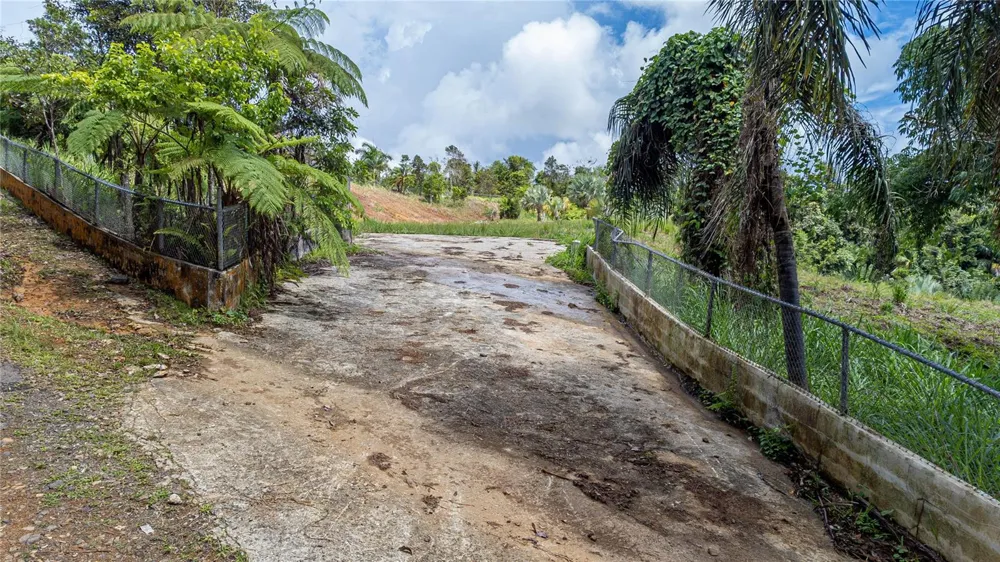 NARANJO WARD INT. PR 984 Fajardo, PR 00738