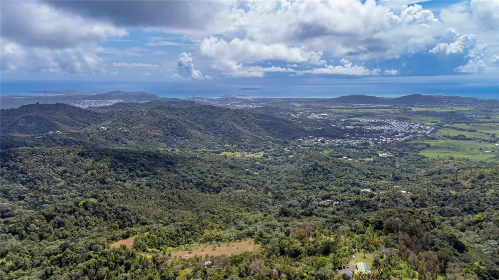 NARANJO WARD INT. PR 984 Fajardo, PR 00738