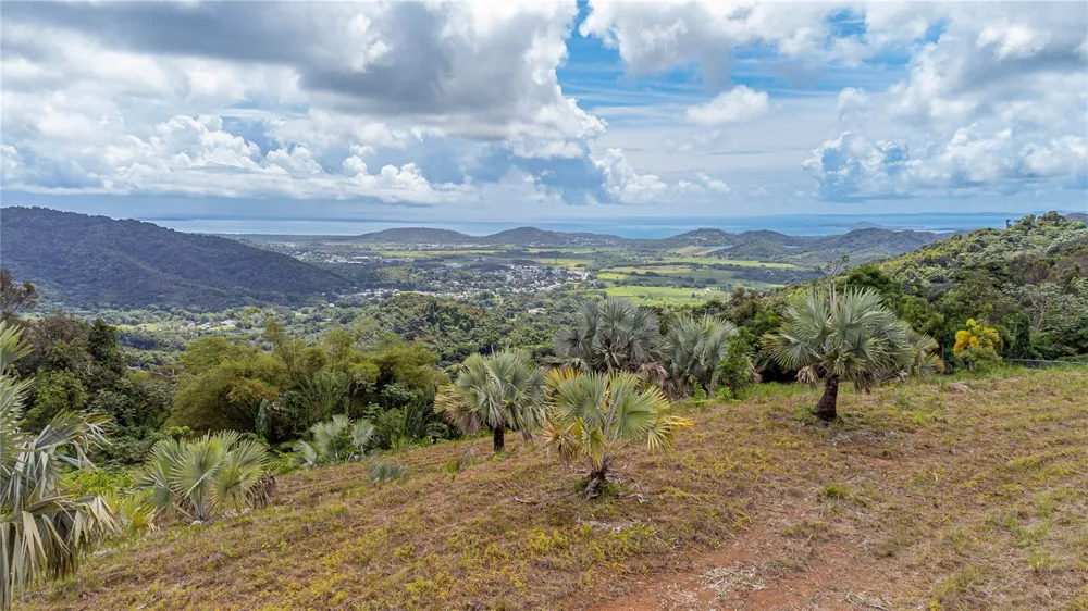 NARANJO WARD INT. PR 984 Fajardo, PR 00738