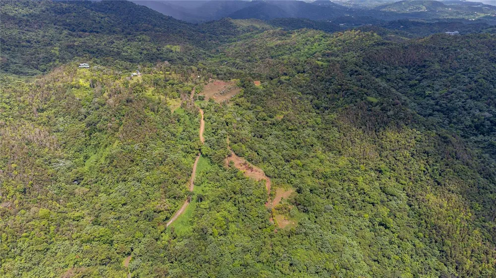 NARANJO WARD INT. PR 984 Fajardo, PR 00738