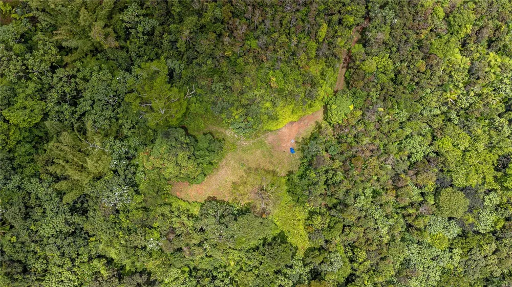 NARANJO WARD INT. PR 984 Fajardo, PR 00738
