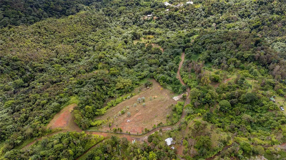 NARANJO WARD INT. PR 984 Fajardo, PR 00738