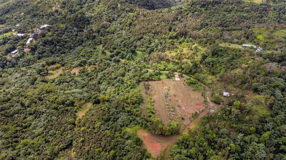NARANJO WARD INT. PR 984 Fajardo, PR 00738