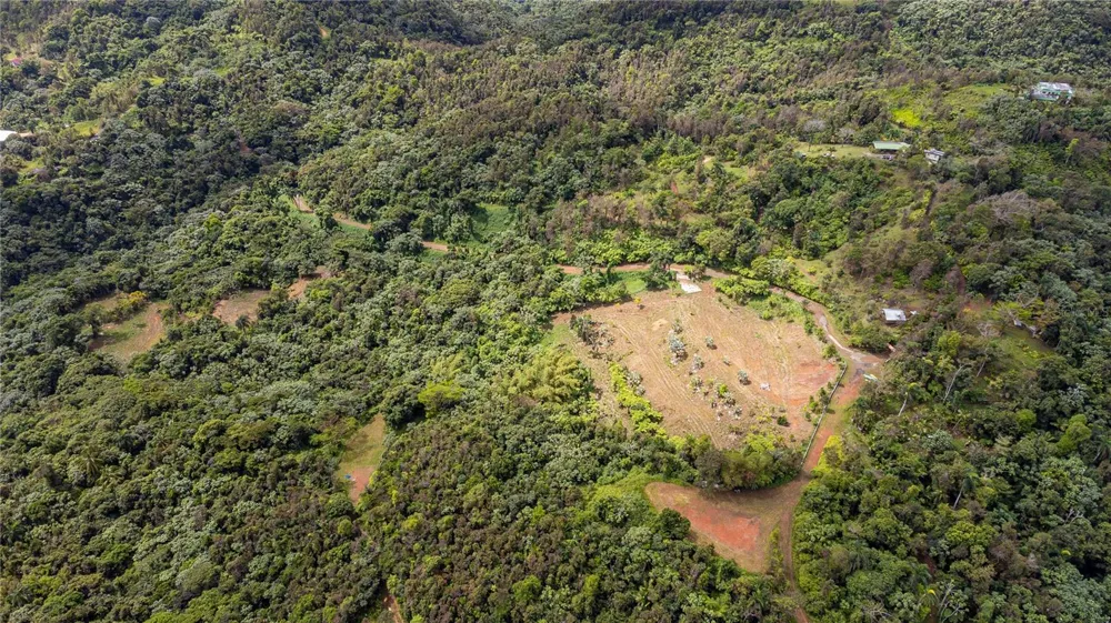 NARANJO WARD INT. PR 984 Fajardo, PR 00738
