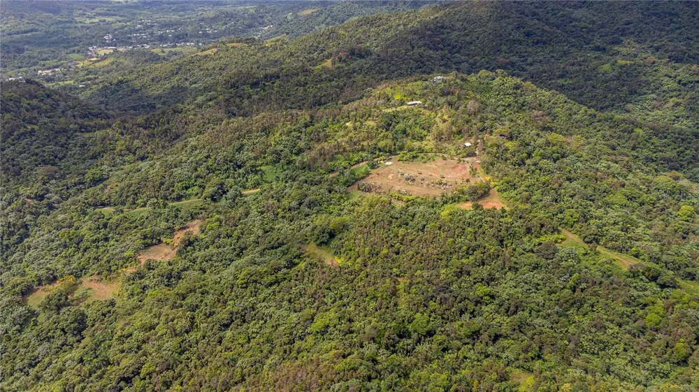 NARANJO WARD INT. PR 984 Fajardo, PR 00738