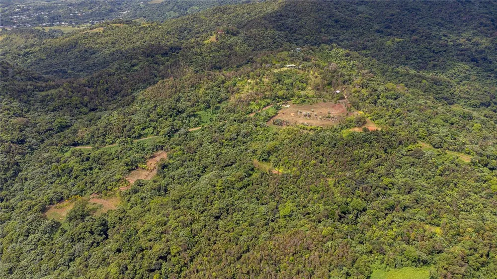 NARANJO WARD INT. PR 984 Fajardo, PR 00738