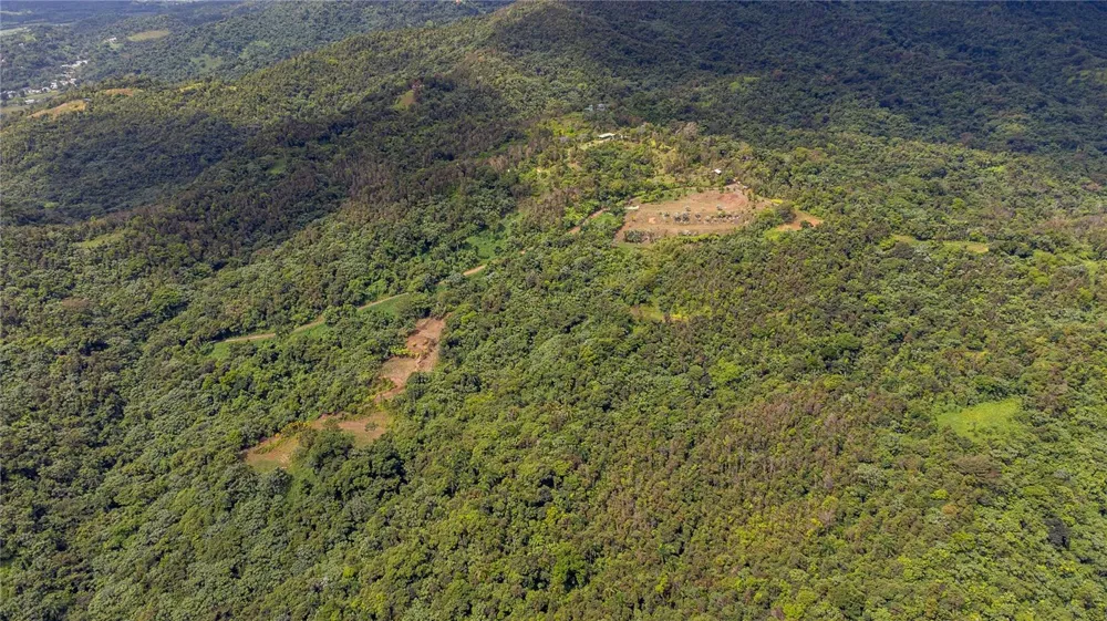 NARANJO WARD INT. PR 984 Fajardo, PR 00738