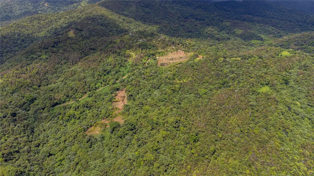 NARANJO WARD INT. PR 984 Fajardo, PR 00738