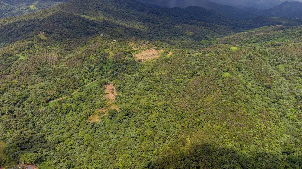 NARANJO WARD INT. PR 984 Fajardo, PR 00738